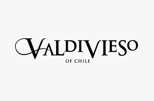valdivieso de chile